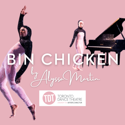 TDT graphic for Bin Chicken by Light up the Sky