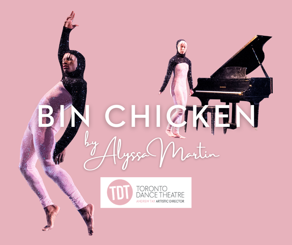 TDT graphic for Bin Chicken by Light up the Sky